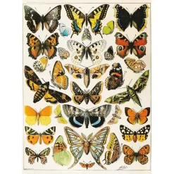 Puzzle 1000 pièces : Papillons - Millot - Piatnik