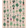 Puzzle 1000 pièces : Plantes d'intérieur - Galison