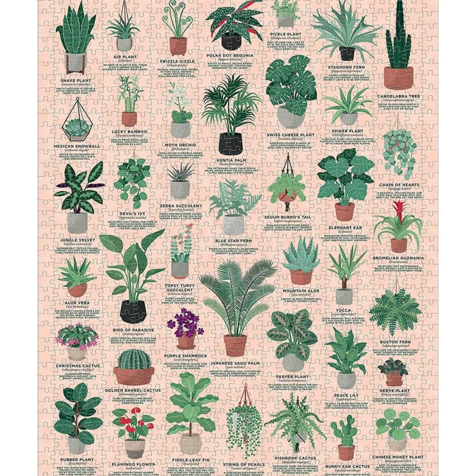 Puzzle 1000 pièces : Plantes d'intérieur - Galison