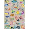 Puzzle 500 pièces : Poissons Exotiques - Sentosphère