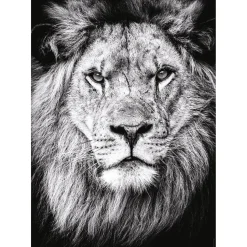 Puzzle 1000 pièces : Portrait royal - Nathan