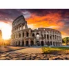 Puzzle 1000 pièces : Rome - Magnolia