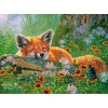Puzzle 500 pièces : Rêves rusés - Castorland