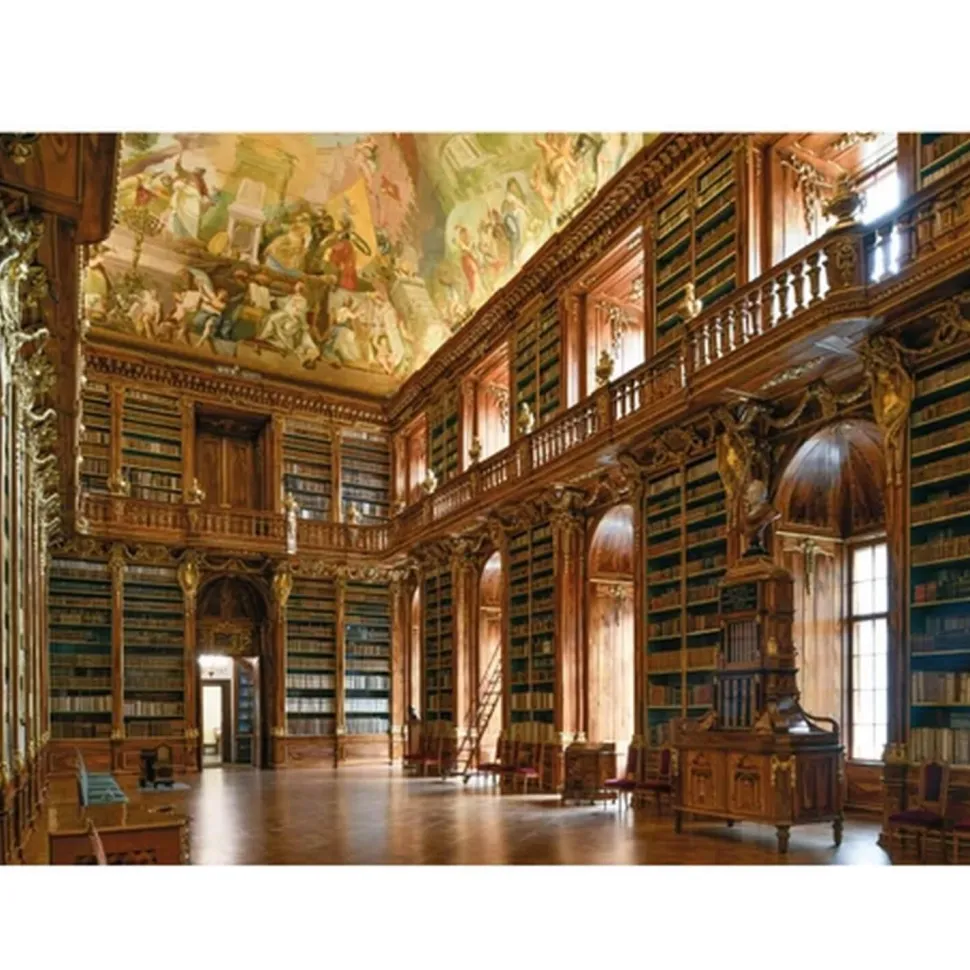 Puzzle 1000 pièces : Salle philosophique - Dino