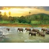 Puzzle 1000 pièces : Save the planet : Forêt tropicale - Eurographics