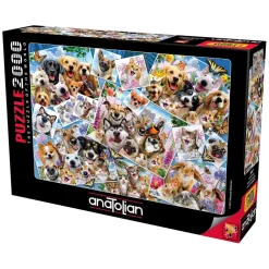Puzzle 2000 pièces : Selfie Pet - Anatolian