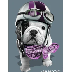 Puzzle 1000 pièces : Théo Jasmin - Nathan