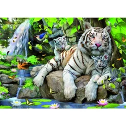 Puzzle 1000 pièces - Tigres blancs du Bengale - Educa