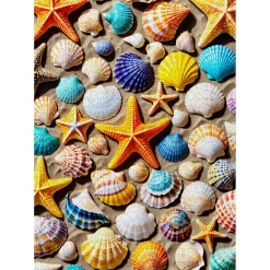Puzzle 1000 Pièces : Trésor de Plage - EnjoyPuzzle