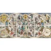 Puzzle 9000 pièces : Unlimited Fit Technology - Cartes Célestes Anciennes - Trefl