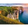 Puzzle 1000 pièces : Vue sur les falaises d'Etretat, Des racines et des ailes - Nathan