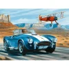 Puzzle 1000 pièces Premium Plus : La course dans le désert - Trefl