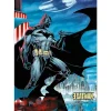 Puzzle 1000 pièces Premium Plus : Batman - Trefl