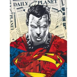 Puzzle 1000 pièces Premium Plus : Superman / Warner Superman - Trefl