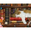 Puzzle 500 pièces XL : La sieste du chat - Eurographics