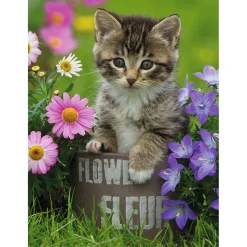 Puzzle 100 pièces XXL : Chaton dans fleurs - Ravensburger