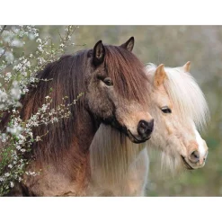 Puzzle 150 pièces XXL : Magnifiques chevaux - Ravensburger