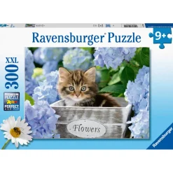 Puzzle 300 pièces XXL : Petit chaton - Ravensburger