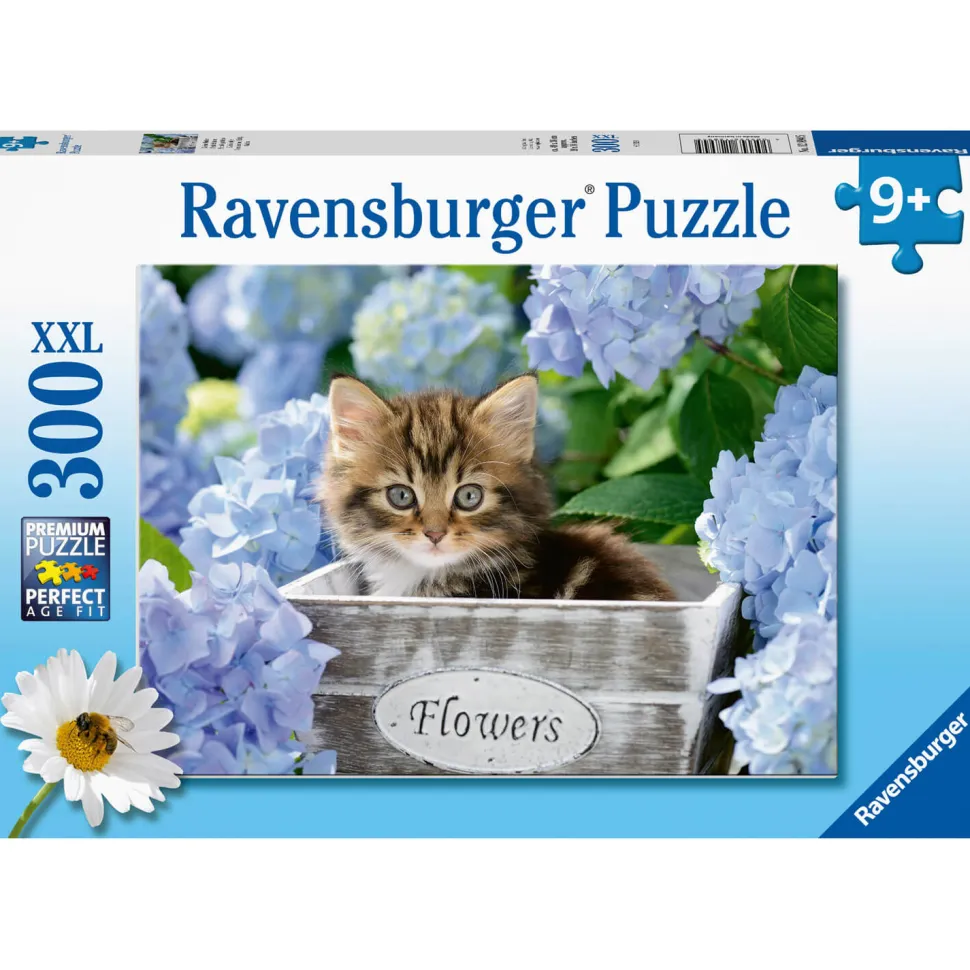 Puzzle 300 pièces XXL : Petit chaton - Ravensburger