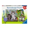 Puzzle 3 x 49 pièces : chatons tigrés - Ravensburger