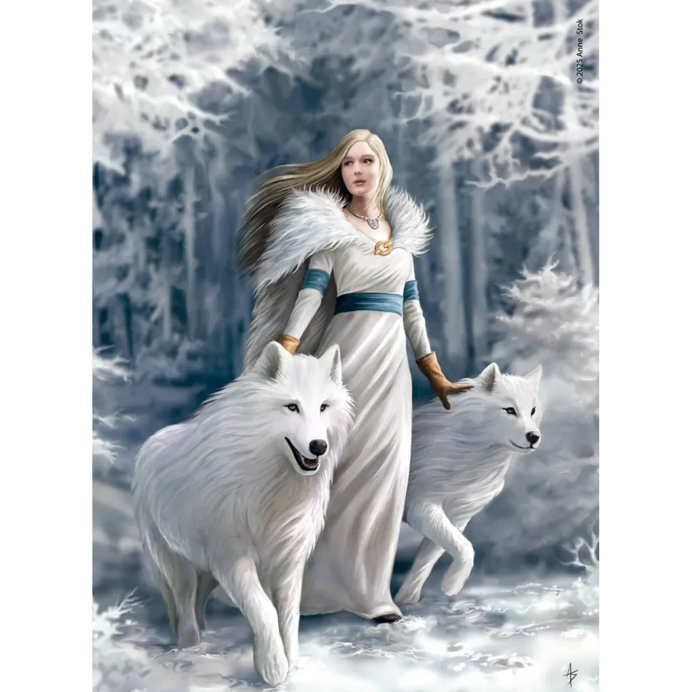 Puzzle Compact 1000 pièces : Anne Stokes - Les gardiens de l'hiver - Clementoni