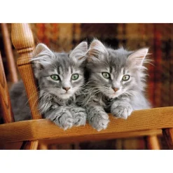 Puzzle Compact 500 pièces : Chatons - Clementoni