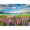 Puzzle Compact 1500 pièces : Lupin au lac Tekapo - Clementoni