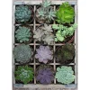 Puzzle Moment 300 pièces : Green - Ravensburger