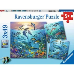 Puzzles 3 x 49 pièces : Le monde animal de l'océan - Ravensburger