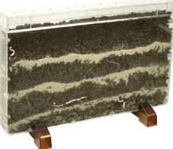 Racine/ferme pour vers - Eduplay