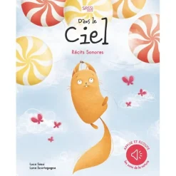 Récit Sonores - DANS LE CIEL - Sassi