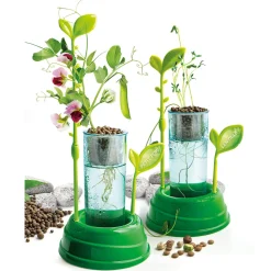 Science et jeu : Botanique et Hydroponie - Clementoni