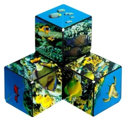 Shashibo Océan - Blackrock