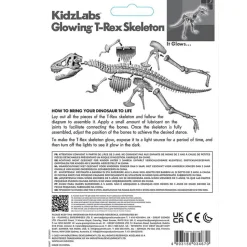 Squelette De T-Rex Lumineux - Dam