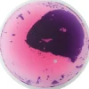 Support de fascination rond, set de 5 - Eduplay
