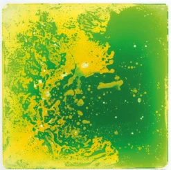 Support de fascination, set de 6 - Eduplay