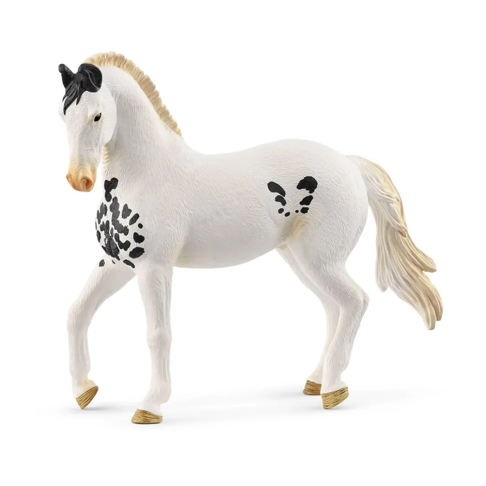 Étalon Marwari - Schleich
