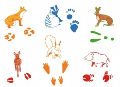 Tampon traces d'animaux, set de 12 - Eduplay