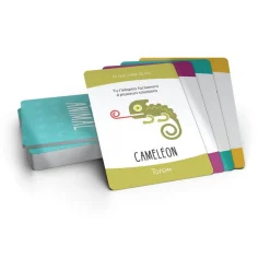 Totem (nouvelle version) - Blackrock