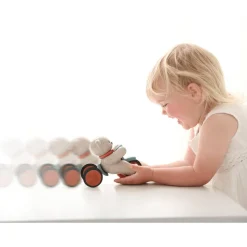 Tricyle nounours push and Go BIO - Tolo