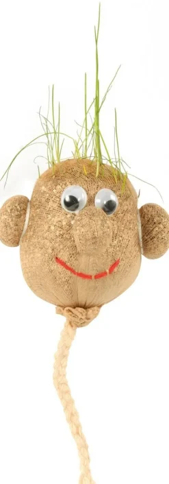 Tête herbe, set de 12, A humidifier et qq jours après pousse l'herbe - Eduplay