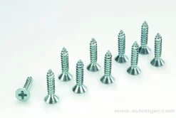 Vis Tole Conique 3.5X16 Acier (10) - GF-0176-008 - Gforce