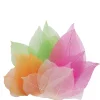 Véritables feuilles de magnolia 300 pièces - Eduplay