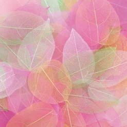 Véritables feuilles de magnolia 300 pièces - Eduplay